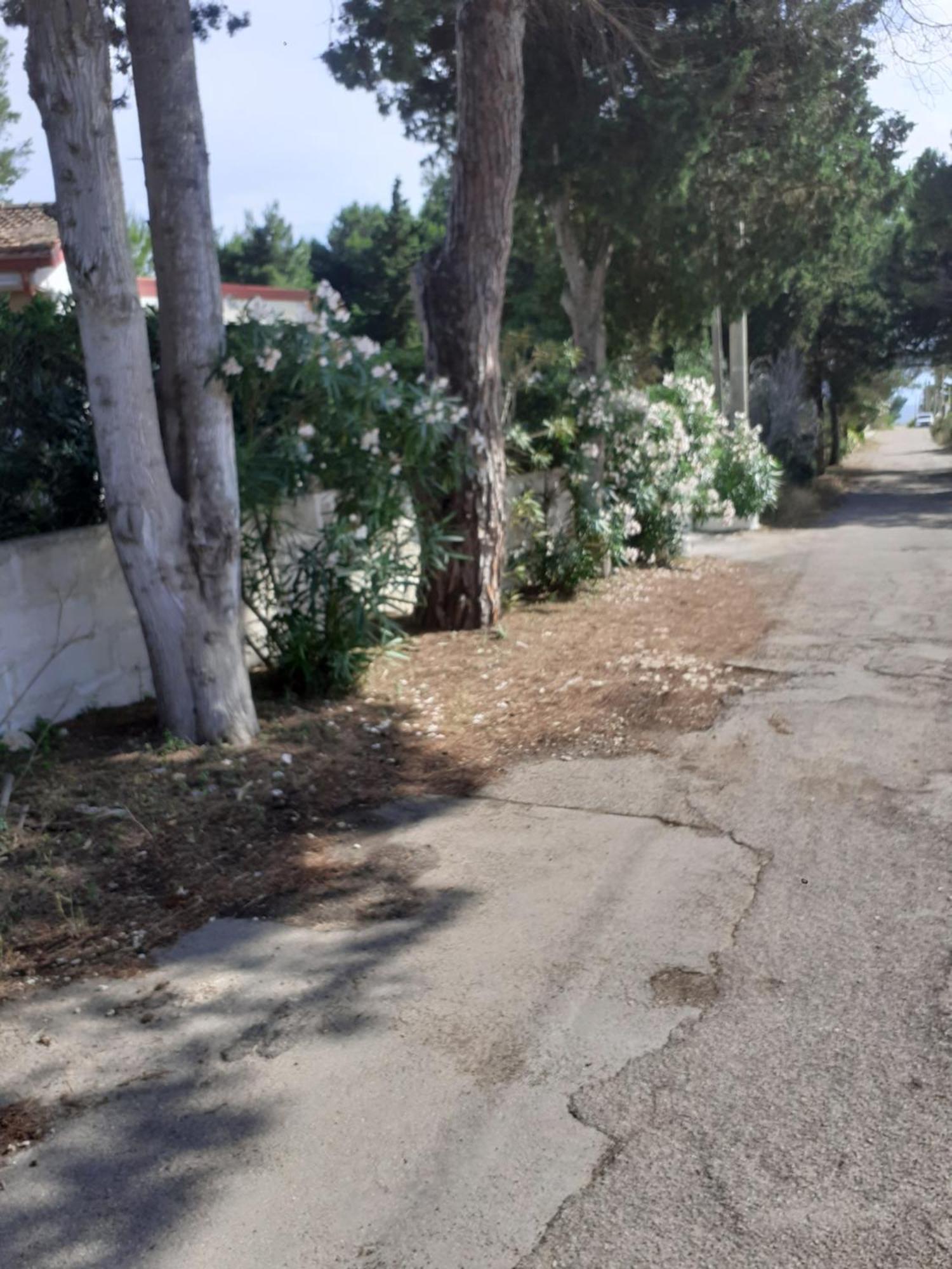 Villetta Dei Fiori, Vicino Spiaggia Di Punta Pizzo 갈리폴리 외부 사진